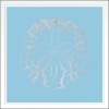 Sand Dollar - Thumbnail Image 2
