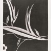 Pearlized Floral - Thumbnail Image 2
