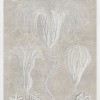Marine Phyla III - Thumbnail Image 2