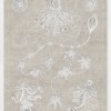 Marine Phyla V - Thumbnail Image 2