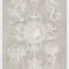 Marine Phyla IV - Thumbnail Image 2