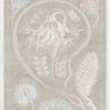 Marine Phyla VI - Thumbnail Image 2