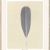 Plumeria Leaf - Thumbnail Image 2