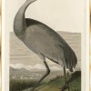 16214