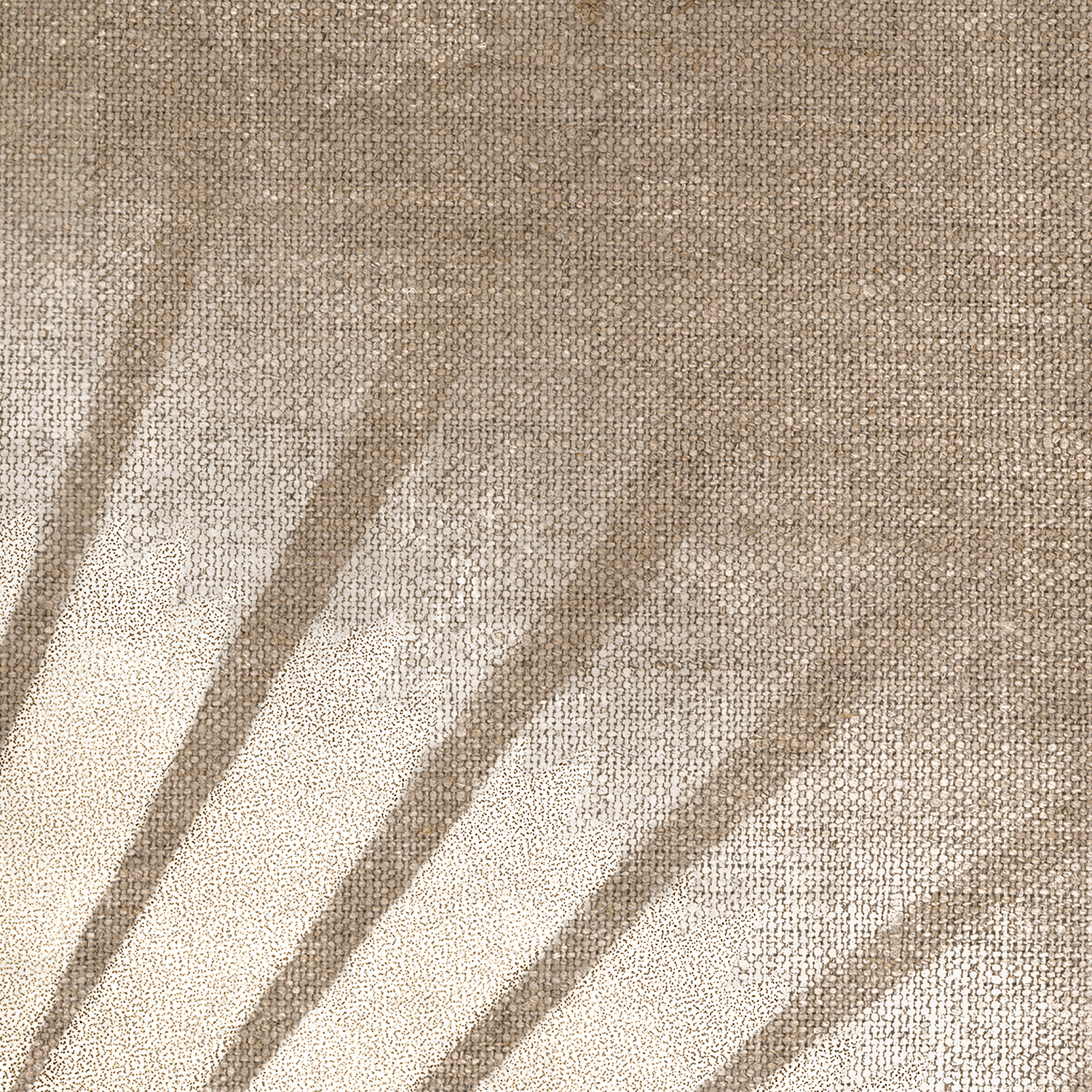 coup-de-soleil-gild-detail-web-2