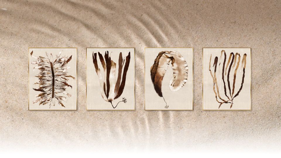 umber pressings homepage slider 2
