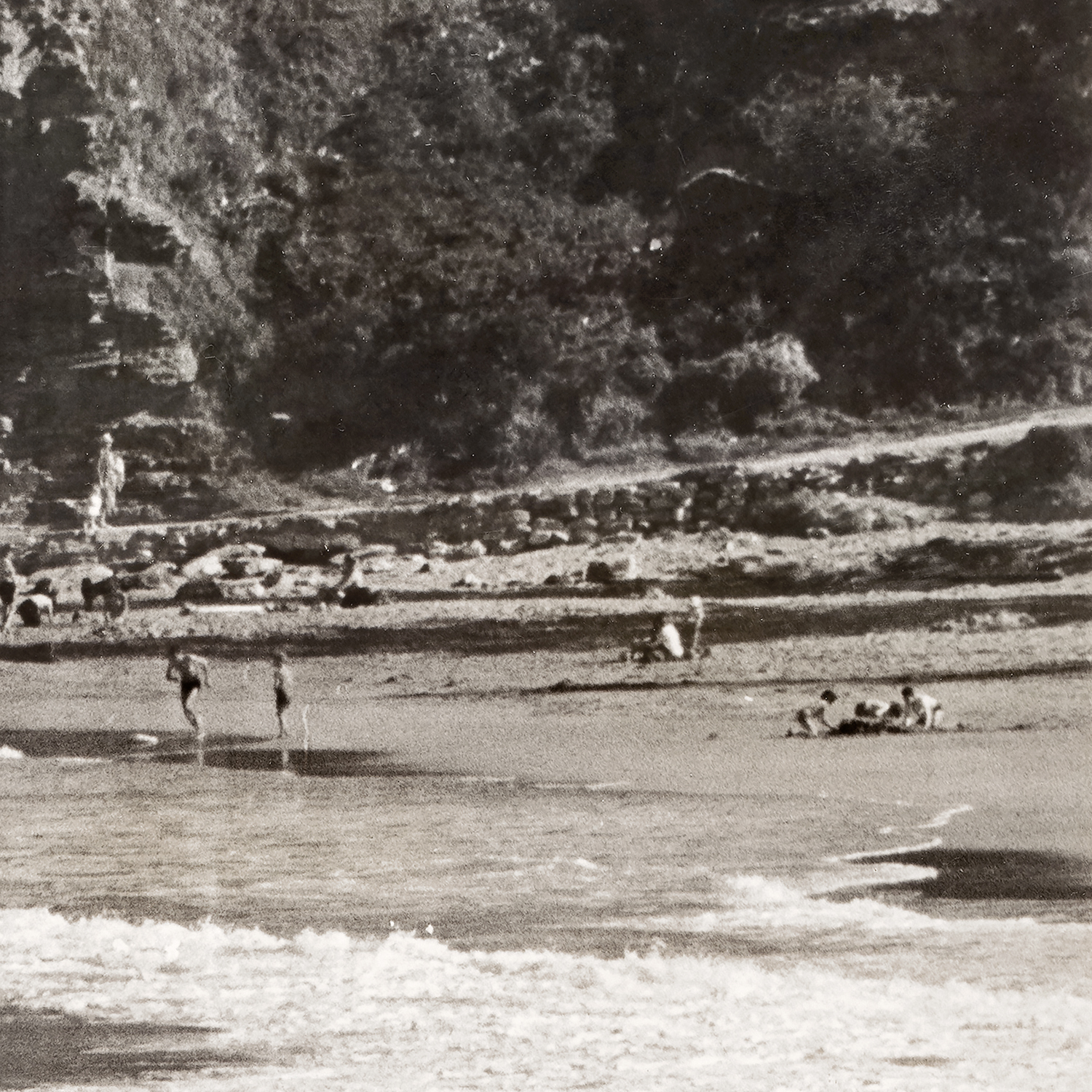 avalon beach detail shot 2