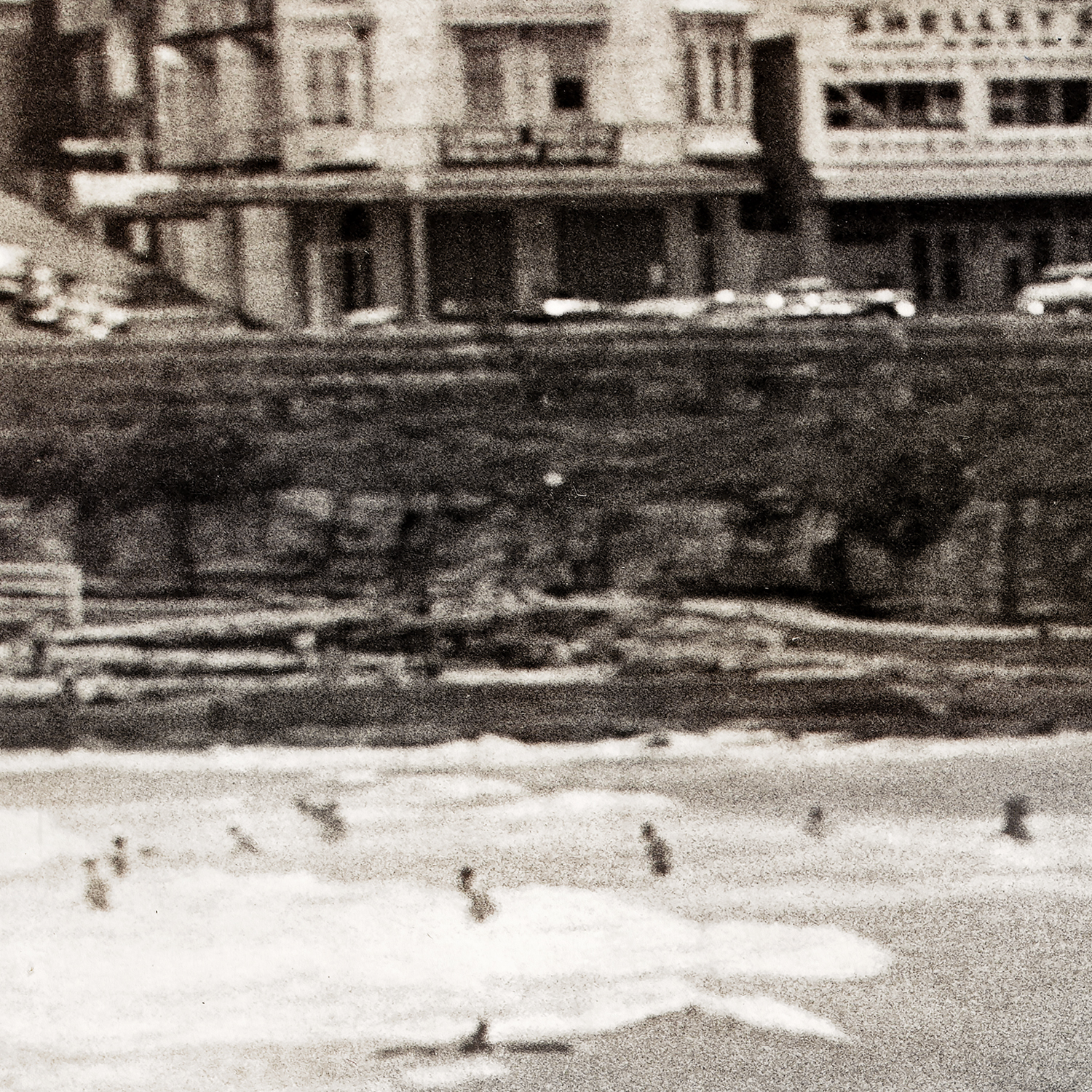 coogee beach detail shot 2