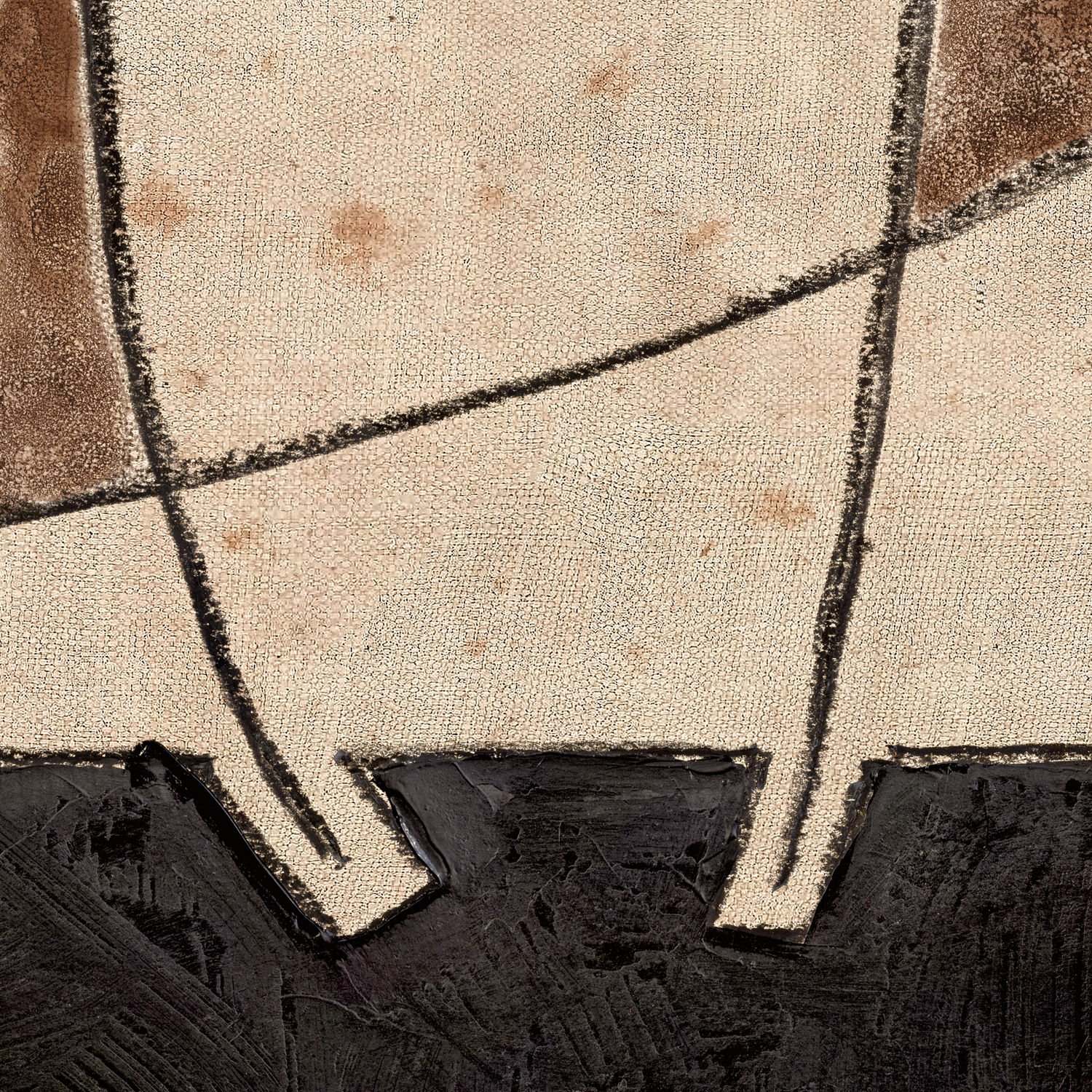 paloma detail shot 3