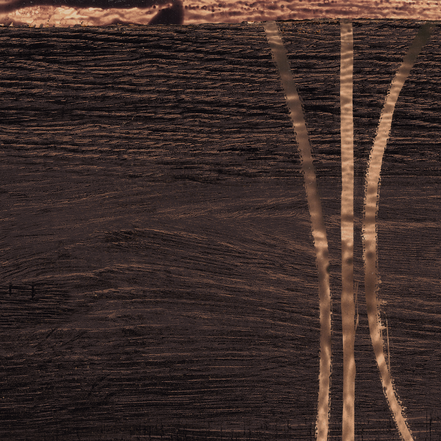 wood cut iv detail shot 2