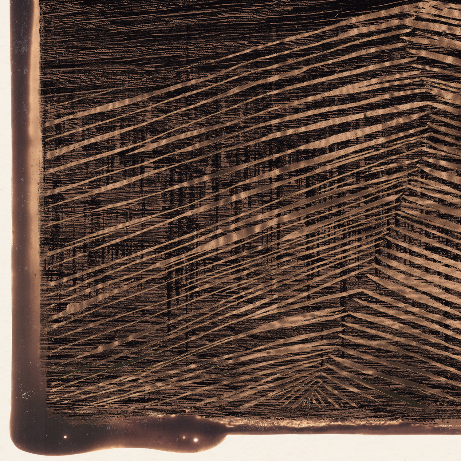 wood cut vii detail shot 1