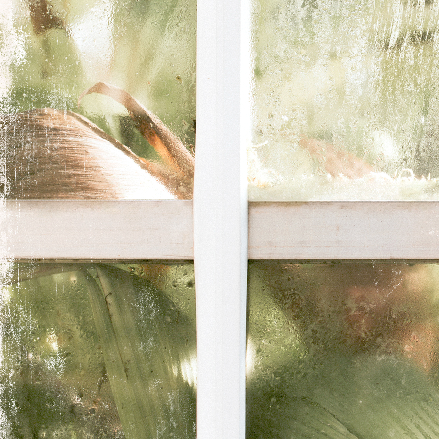 greenhouse series i detail shot 1