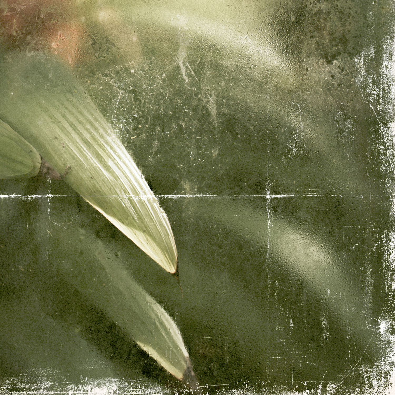 greenhouse series i detail shot 2
