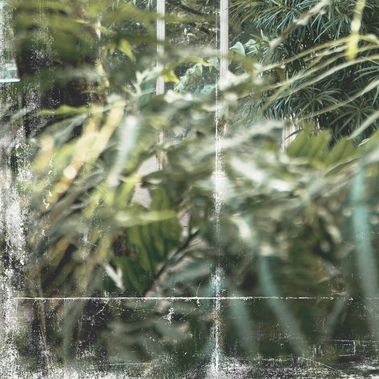 greenhouse series ii detail shot 2