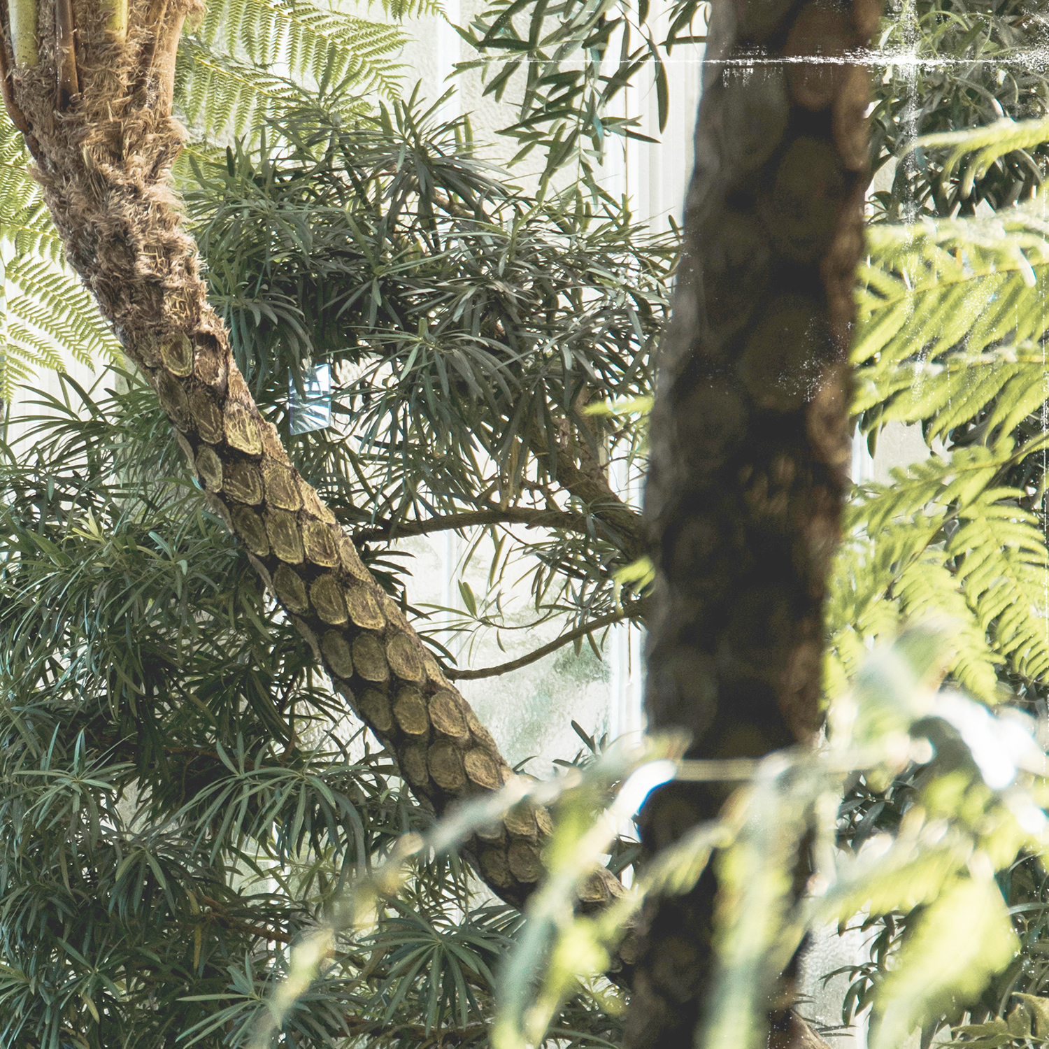 greenhouse series ii detail shot 3