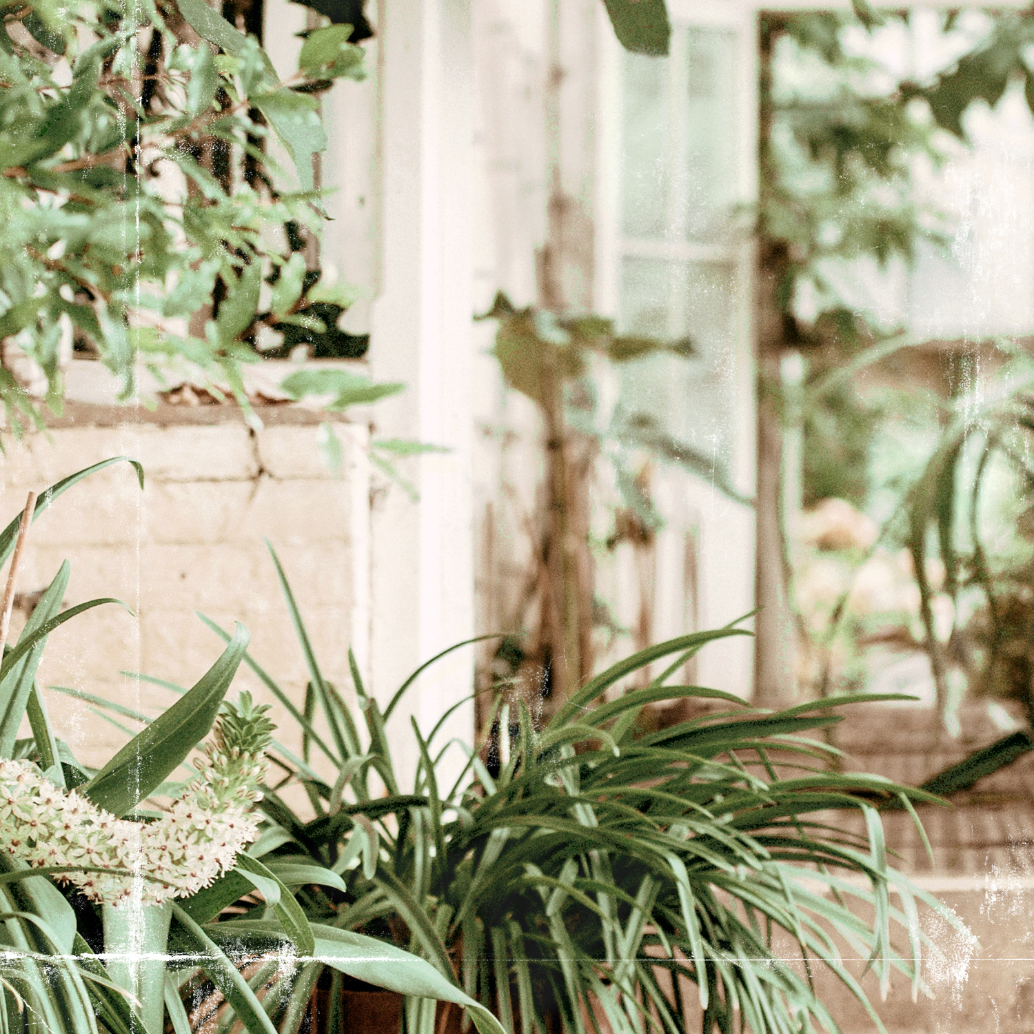 greenhouse series iii detail shot 3