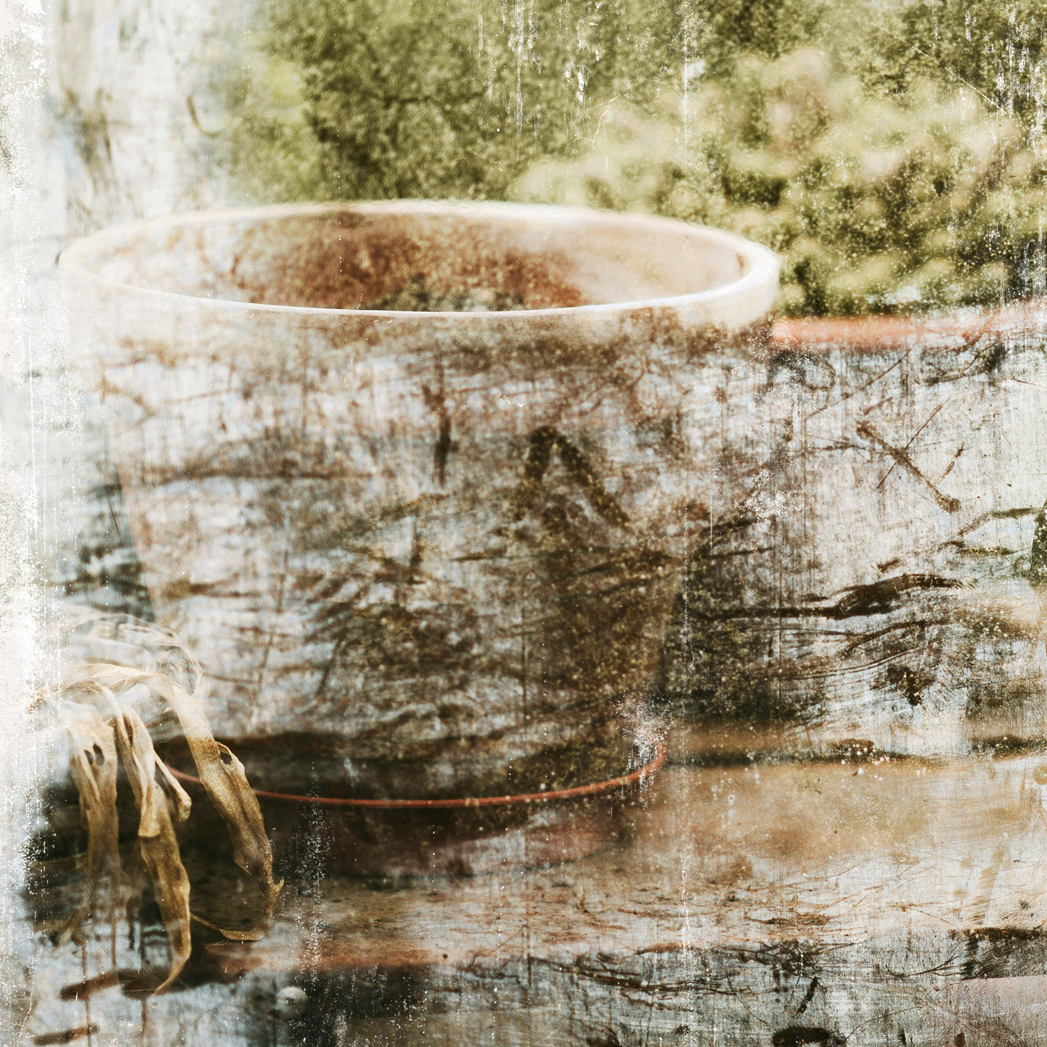 greenhouse series iv detail shot 1