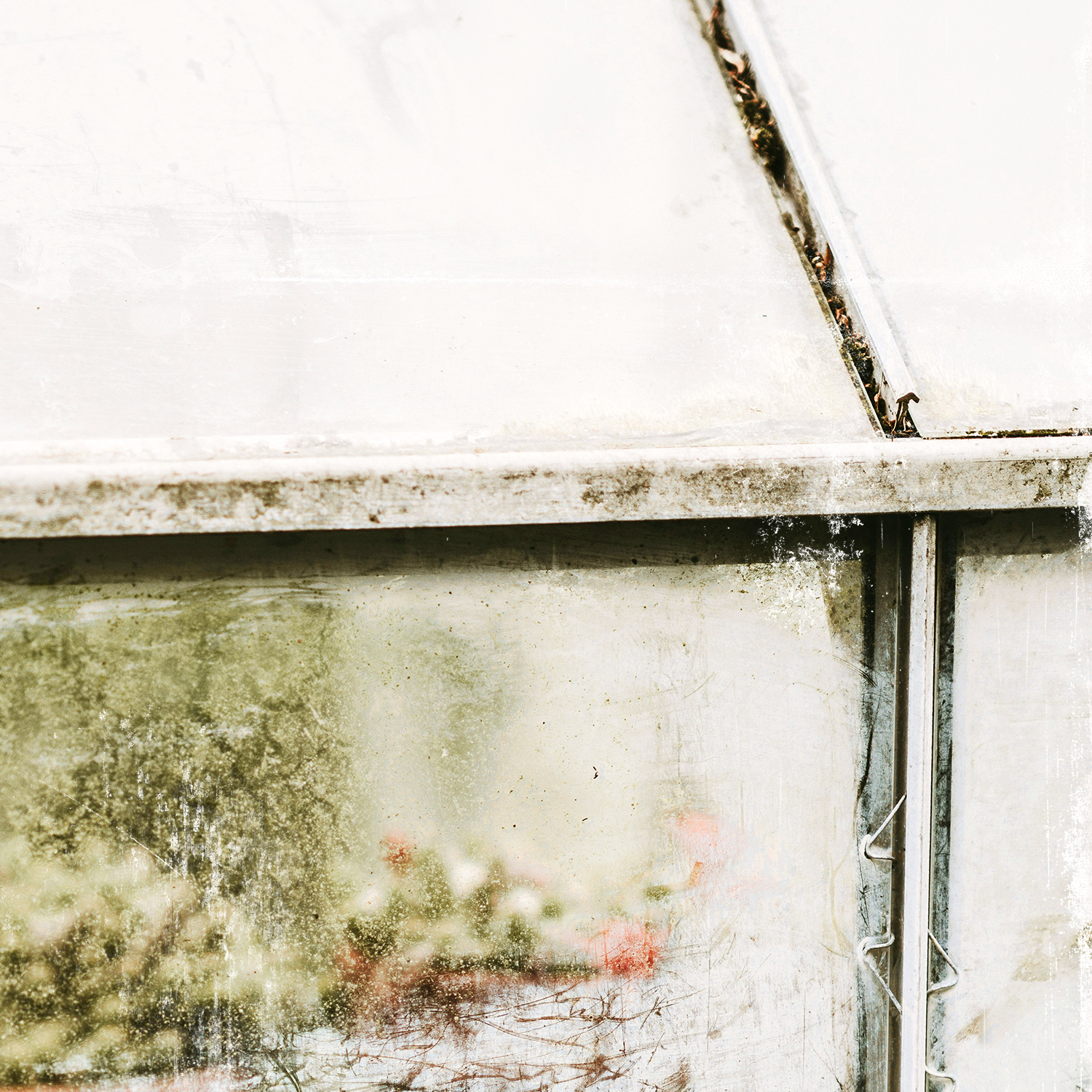 greenhouse series iv detail shot 3