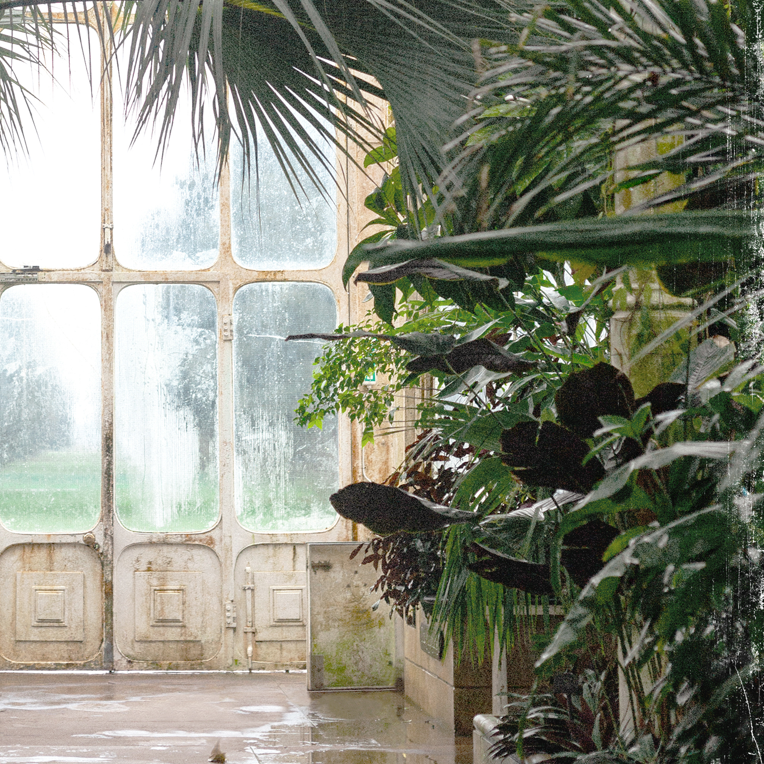 greenhouse series ix detail shot 2