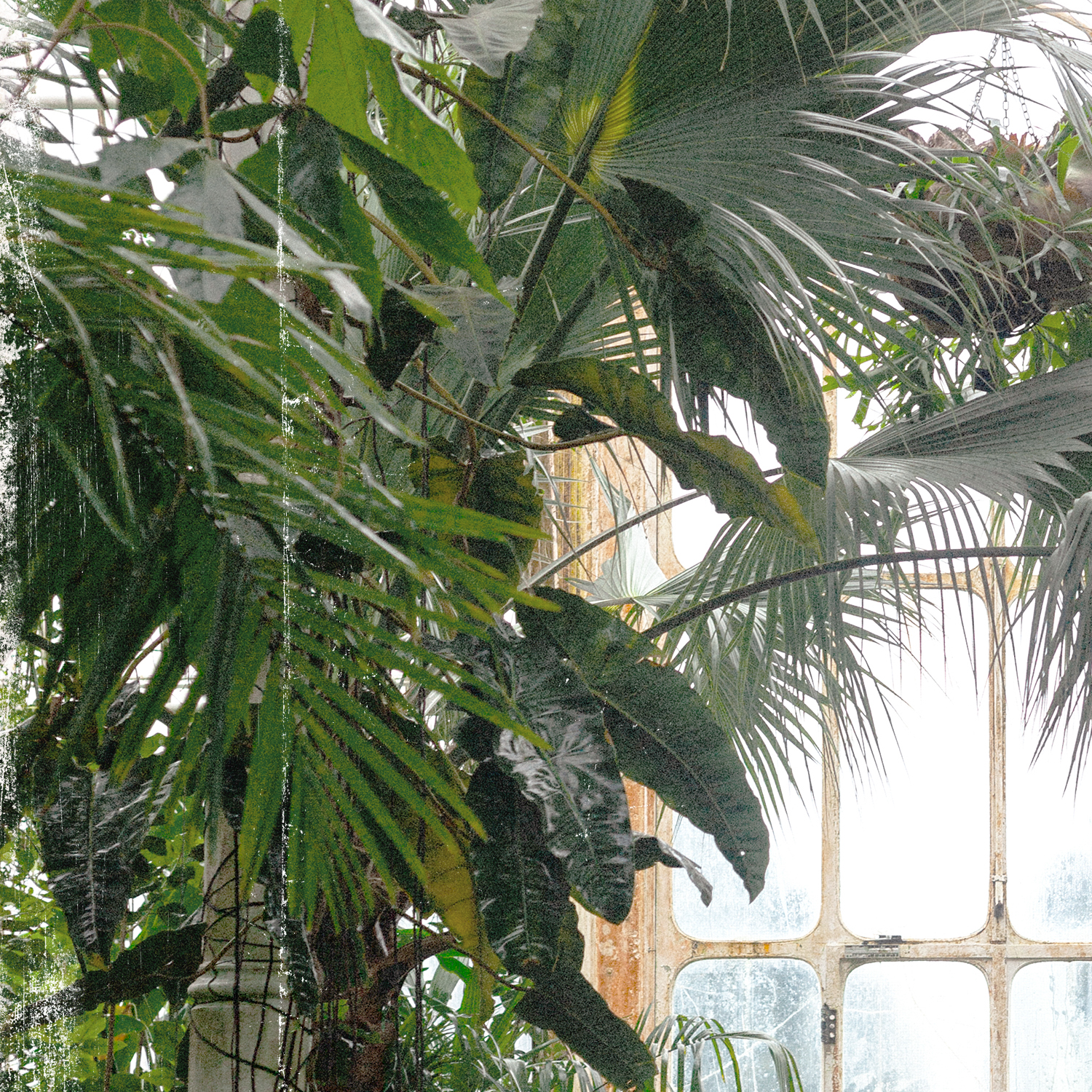greenhouse series ix detail shot 3