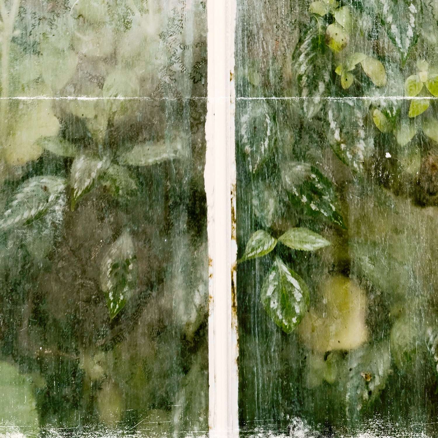 greenhouse series v detail shot 2