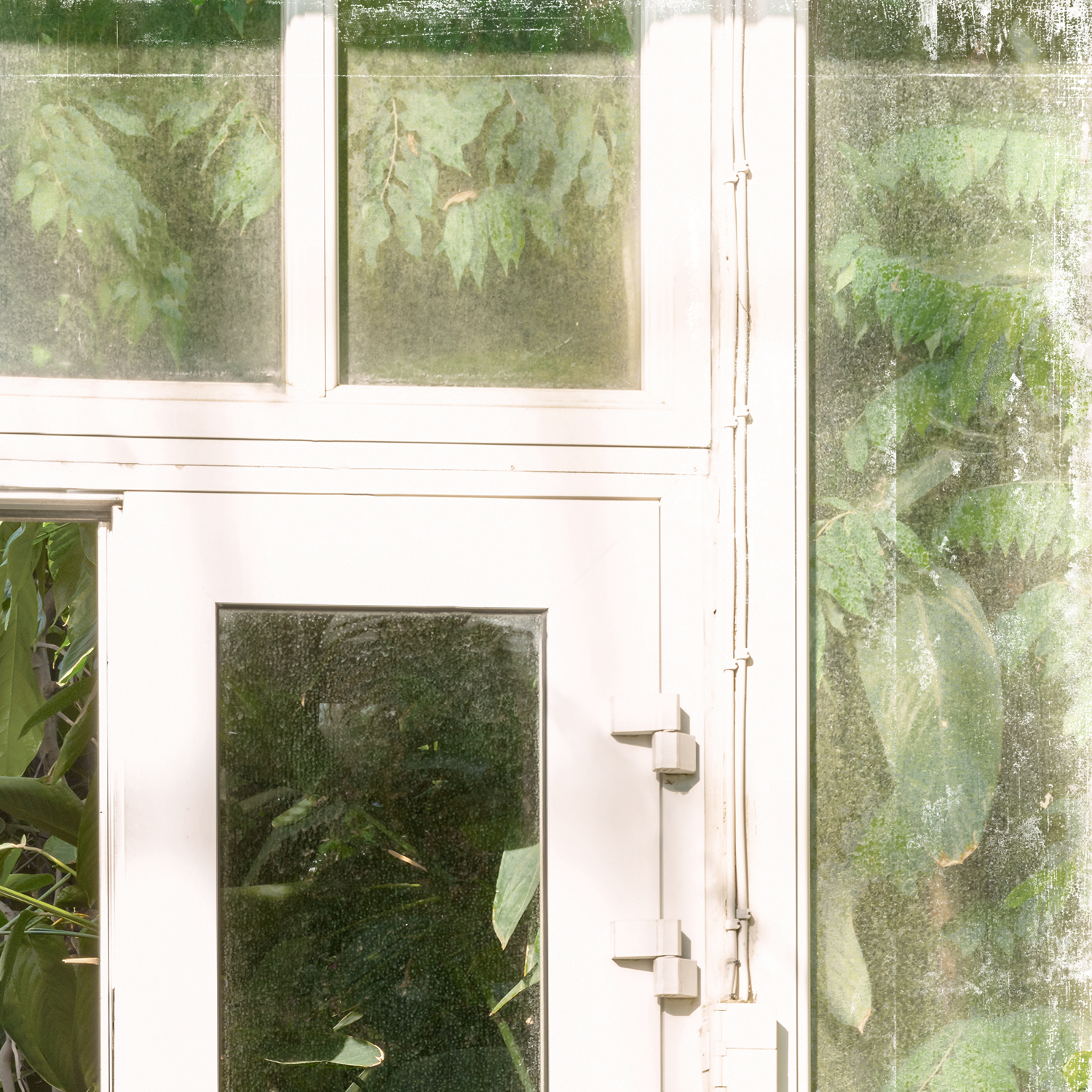 greenhouse series vi detail shot 2