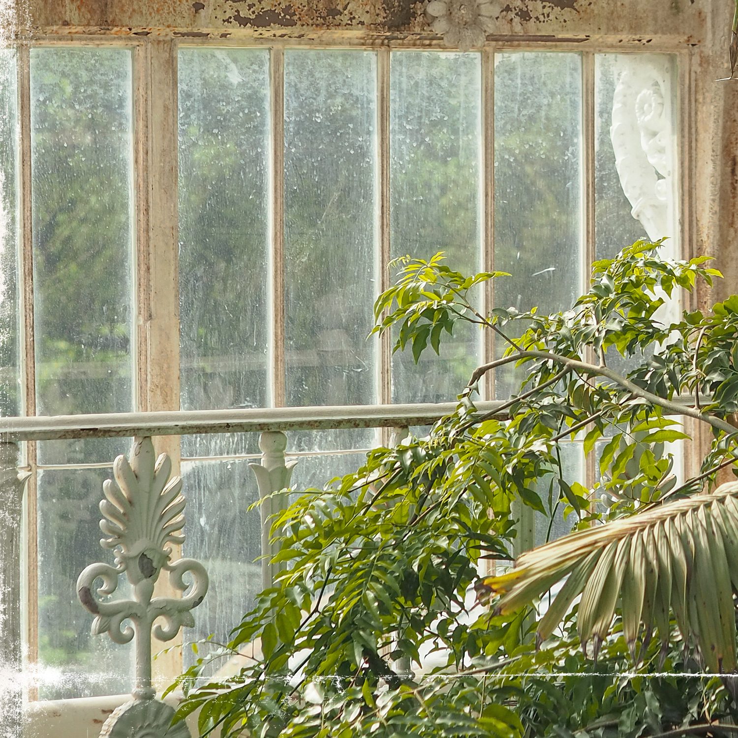 greenhouse series vii detail shot 1
