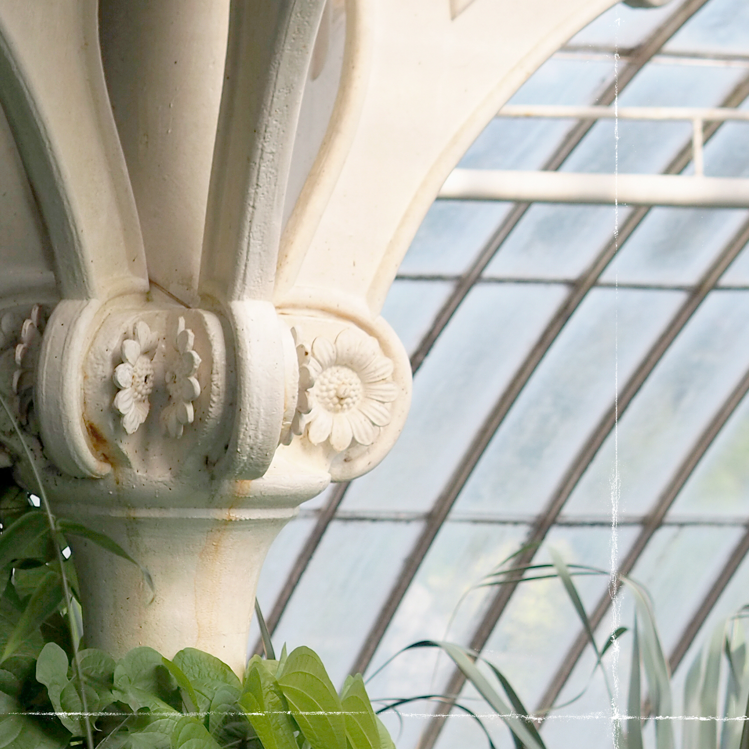 greenhouse series viii detail shot 1