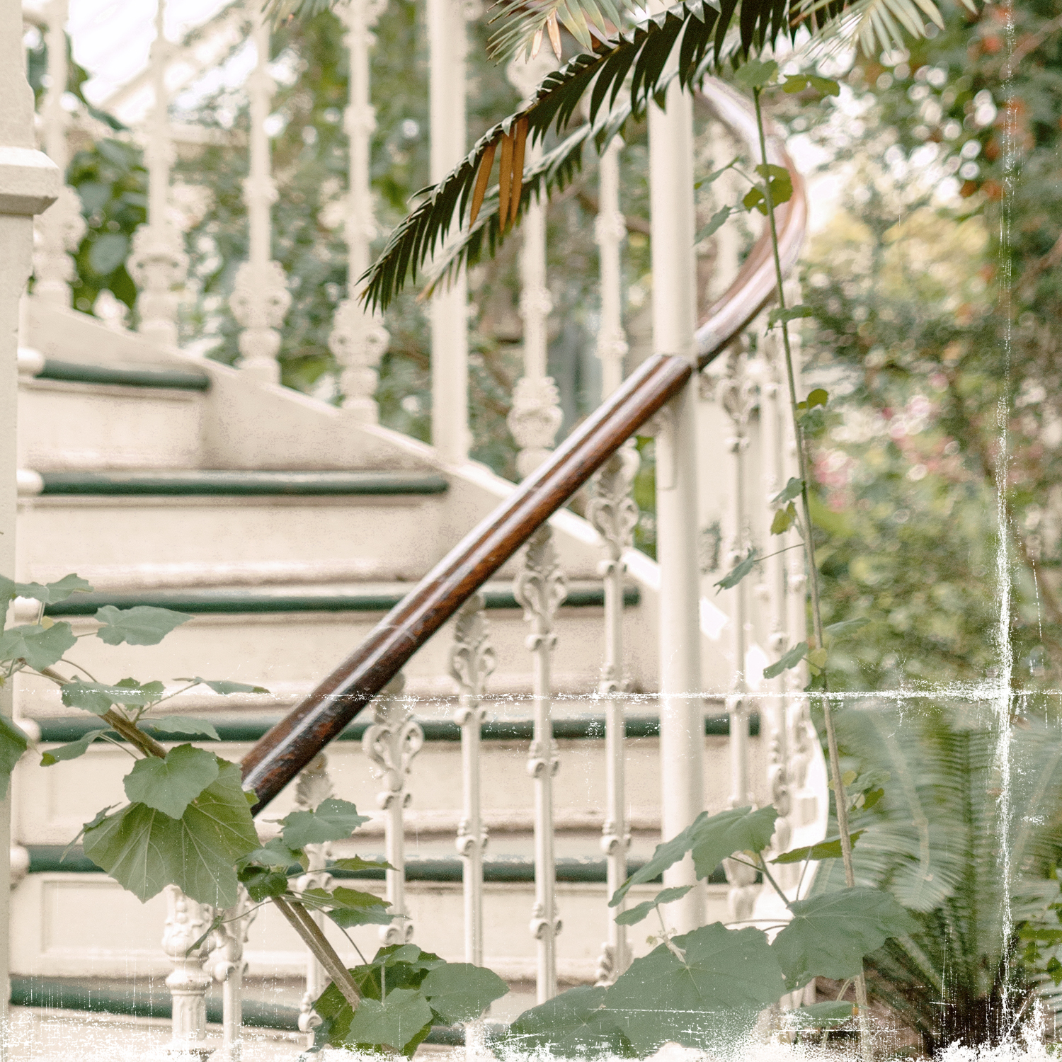 greenhouse series x detail shot 2