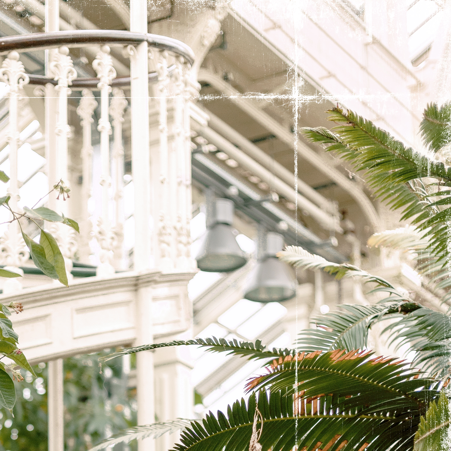 greenhouse series x detail shot 3
