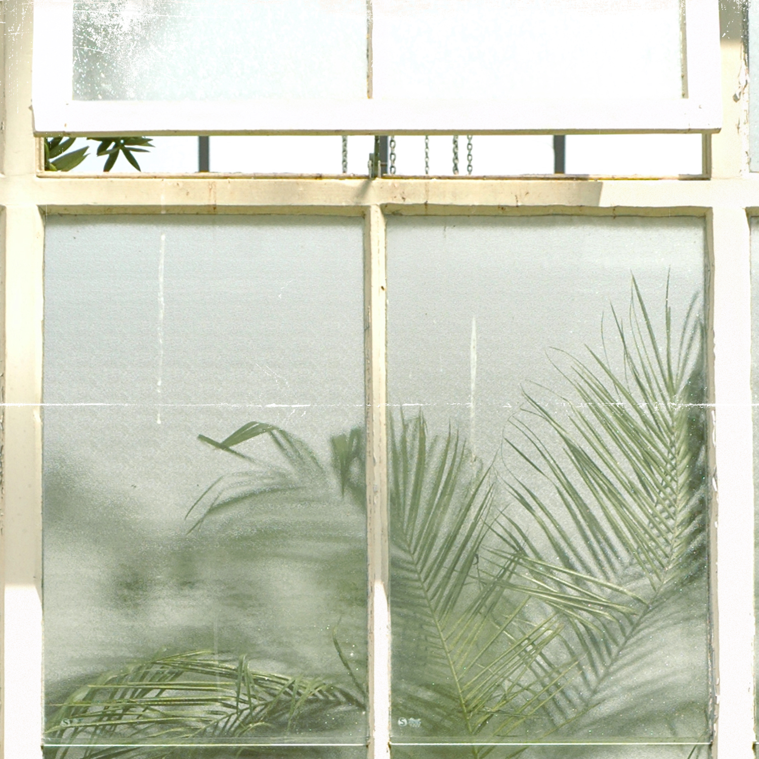 greenhouse series xii detail shot 1