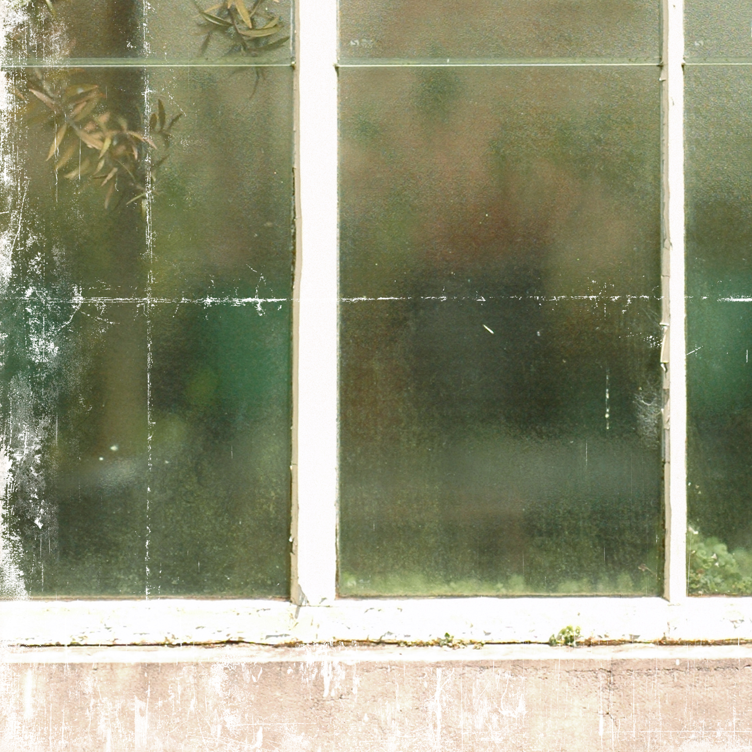 greenhouse series xii detail shot 2