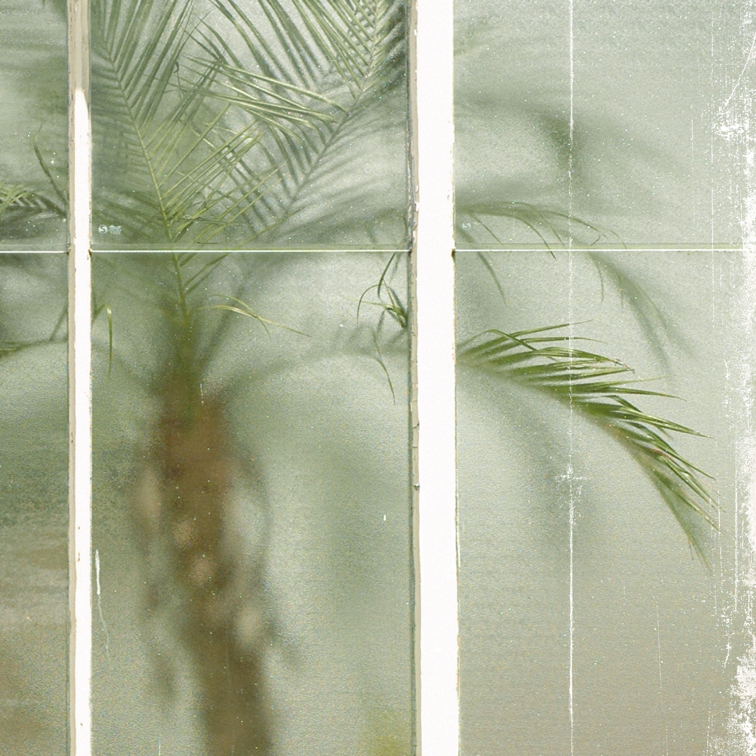greenhouse series xii detail shot 3