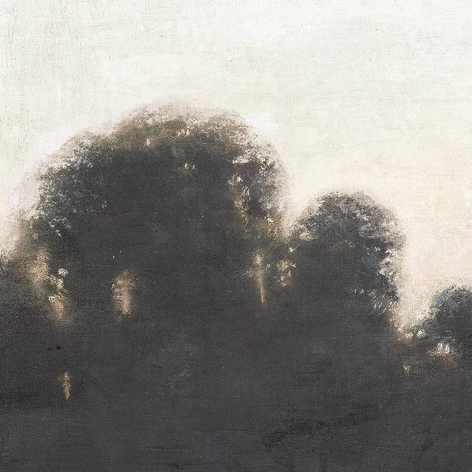 summer evening detail shot 1
