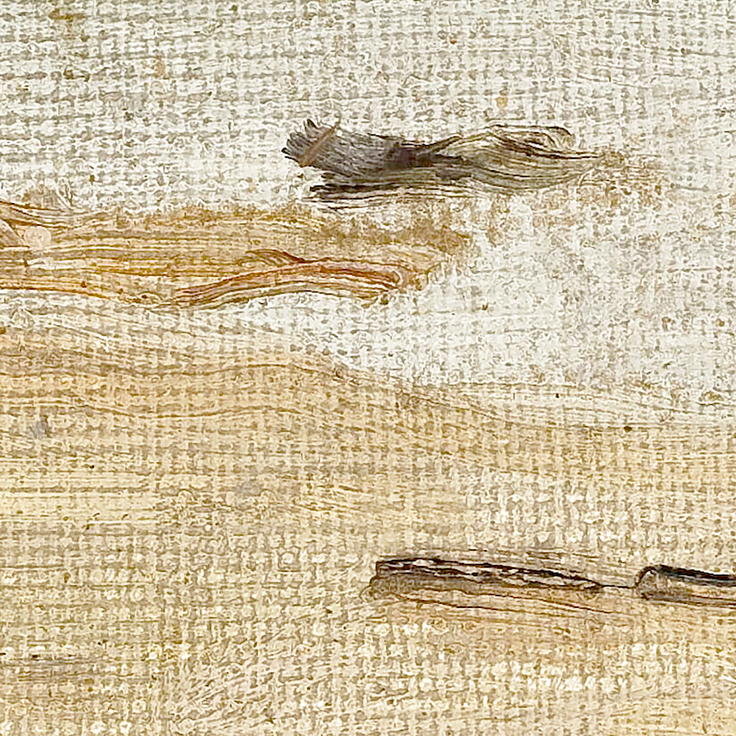 raw canvas series coastline detail shot 1