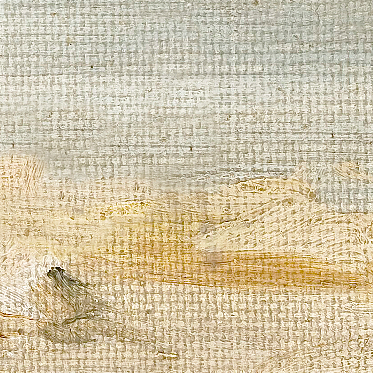 raw canvas series coastline detail shot 3
