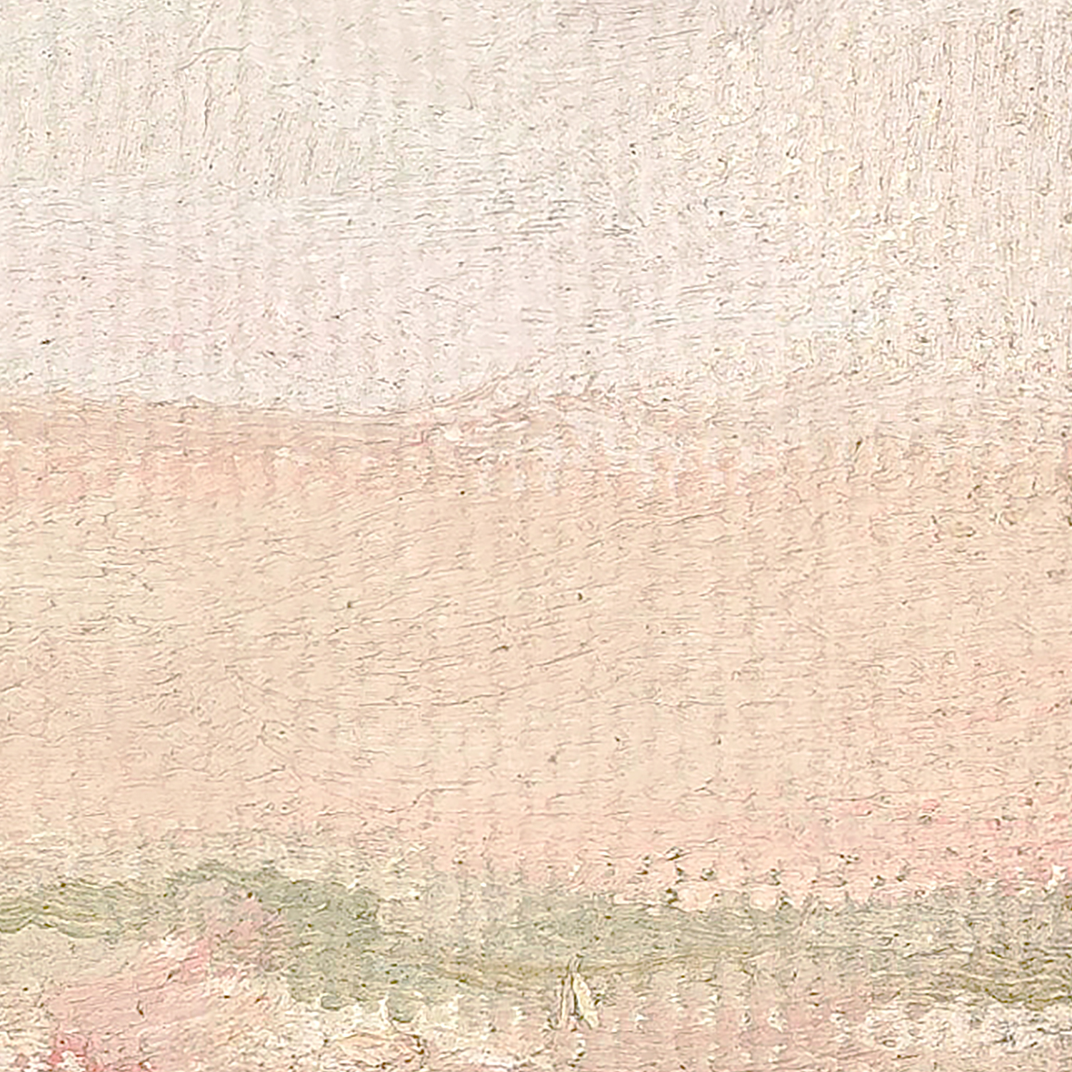 raw canvas series desert view detail shot 2