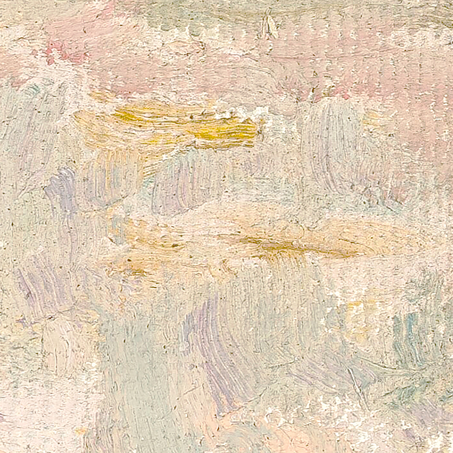 raw canvas series desert view detail shot 3