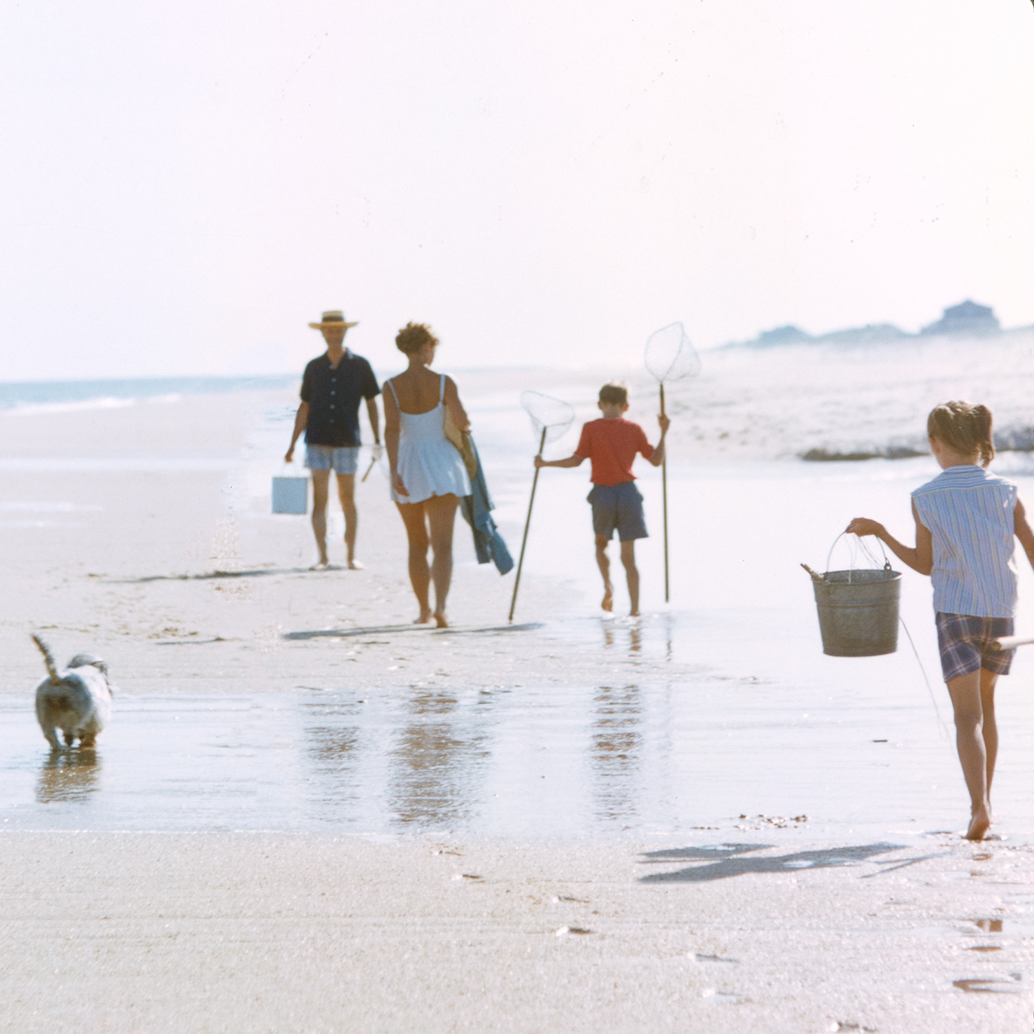 toni frissell slides hamptons detail shot 1