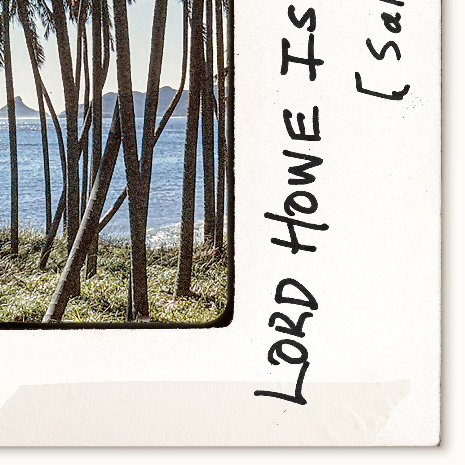 toni frissell slides lord howe detail shot 3
