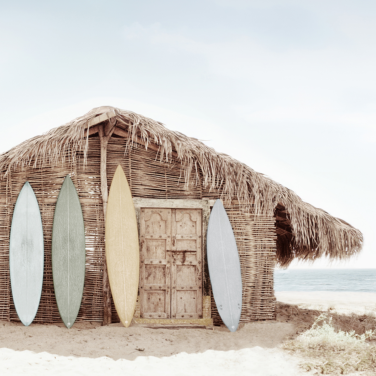 beach hut whats-new