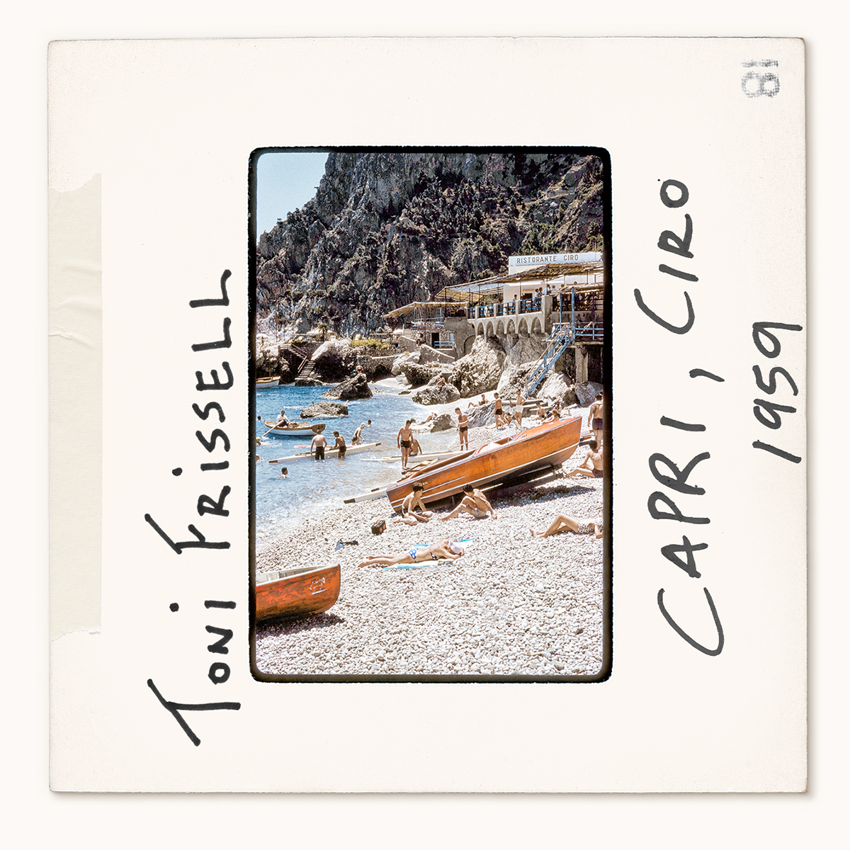 toni frissell slides - whats-new